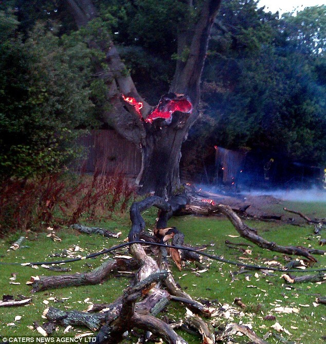 Попадание Шаровой Молнии в дерево.