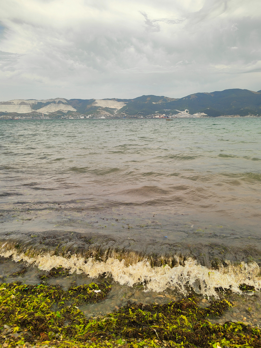 Слева от косы намутило и водоросли принесло 