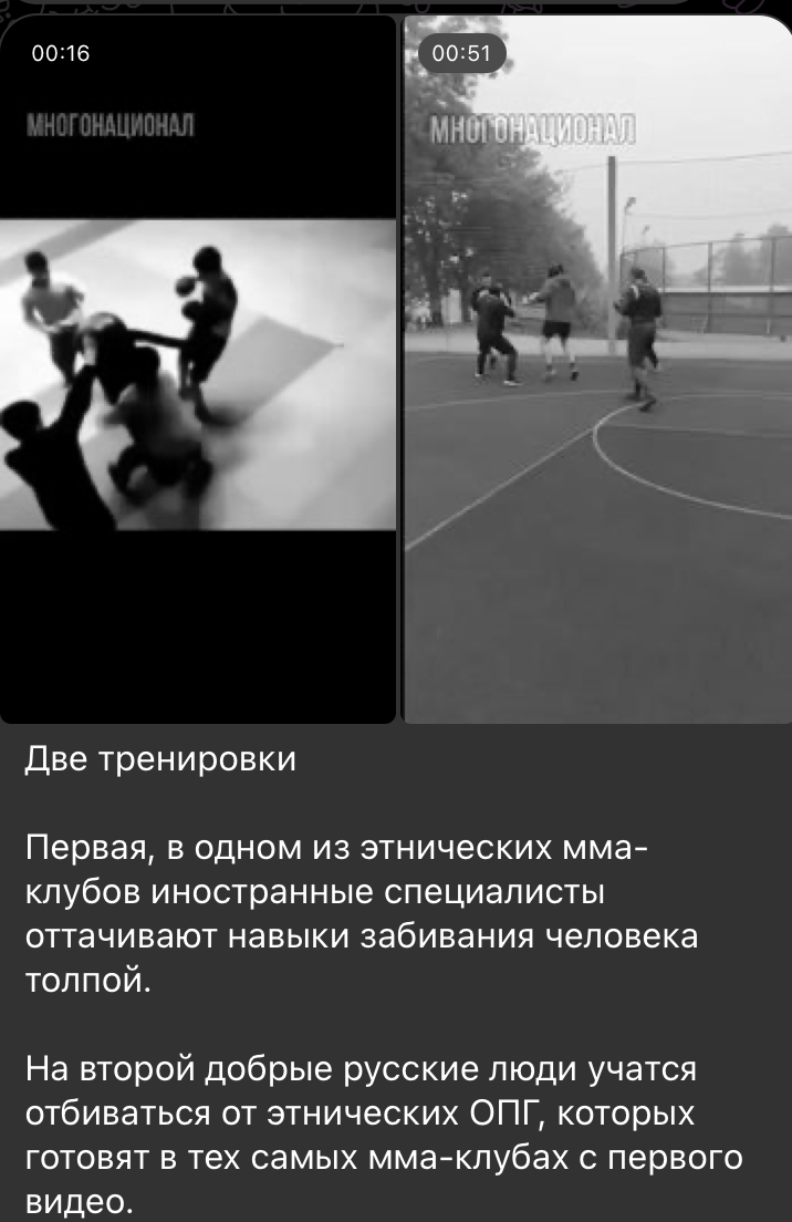    Скриншот: t.me/mnogonazi/24628