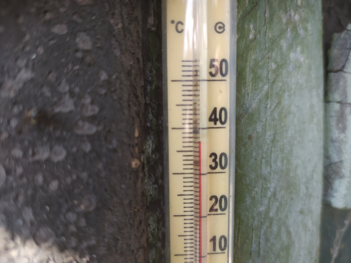 Фото автора для иллюстрации