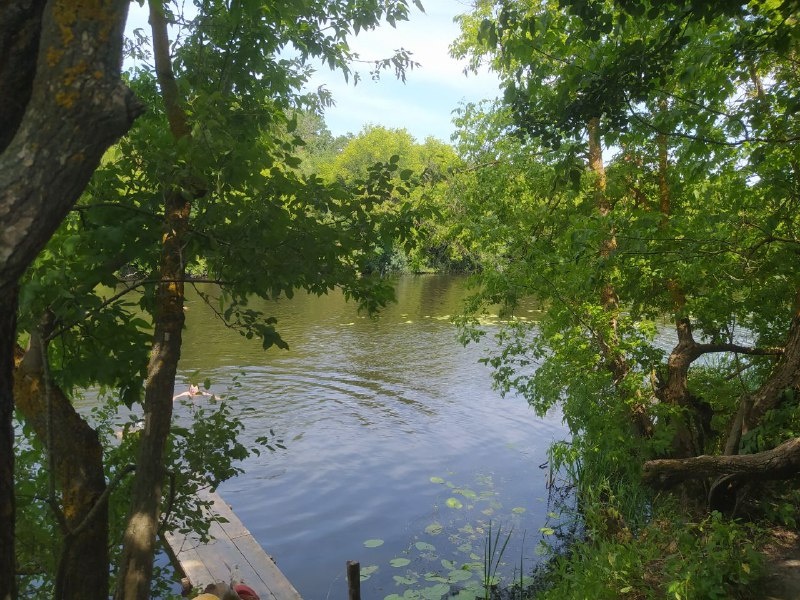 Организованное место для купания. Фото автора