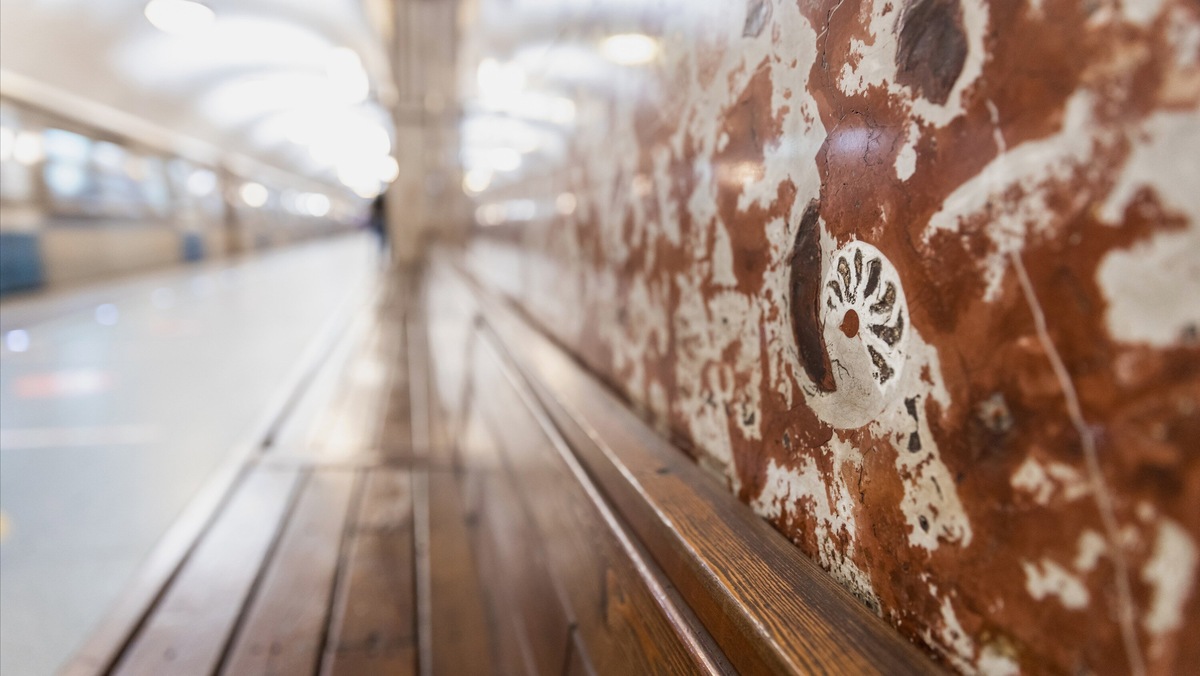 На некоторых станциях найти следы древних организмов легко, на других придётся присматриваться к деталям отделки. Фотографии: Московский метрополитен