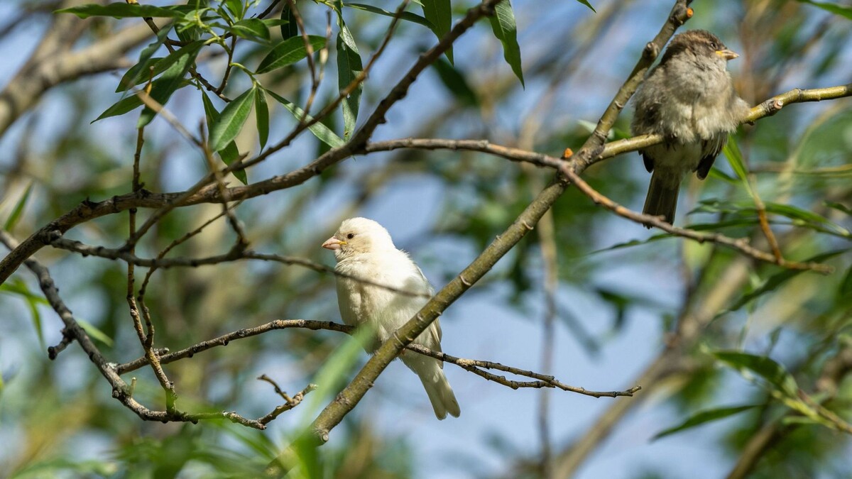    Фото: Федор Воронов / «Ямал-Медиа»