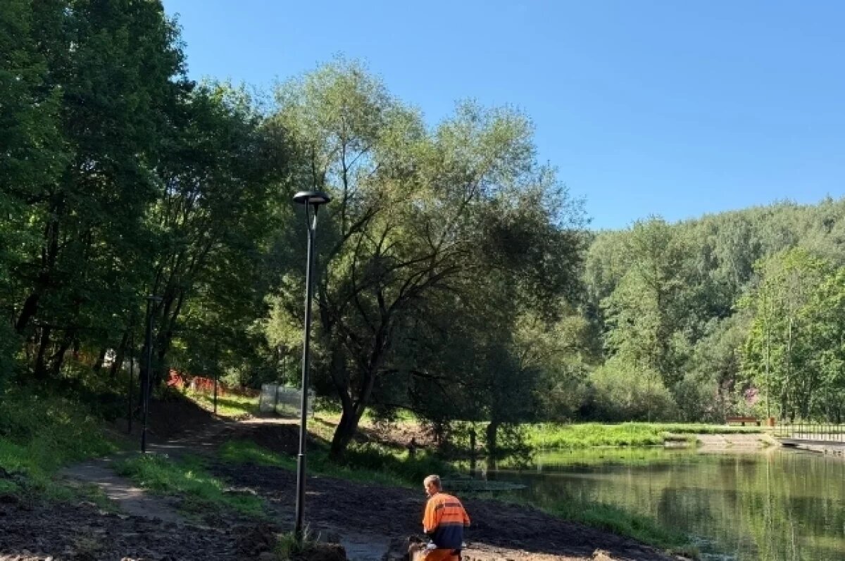    В районе Солдатского озера в Смоленске делают зоны отдыха