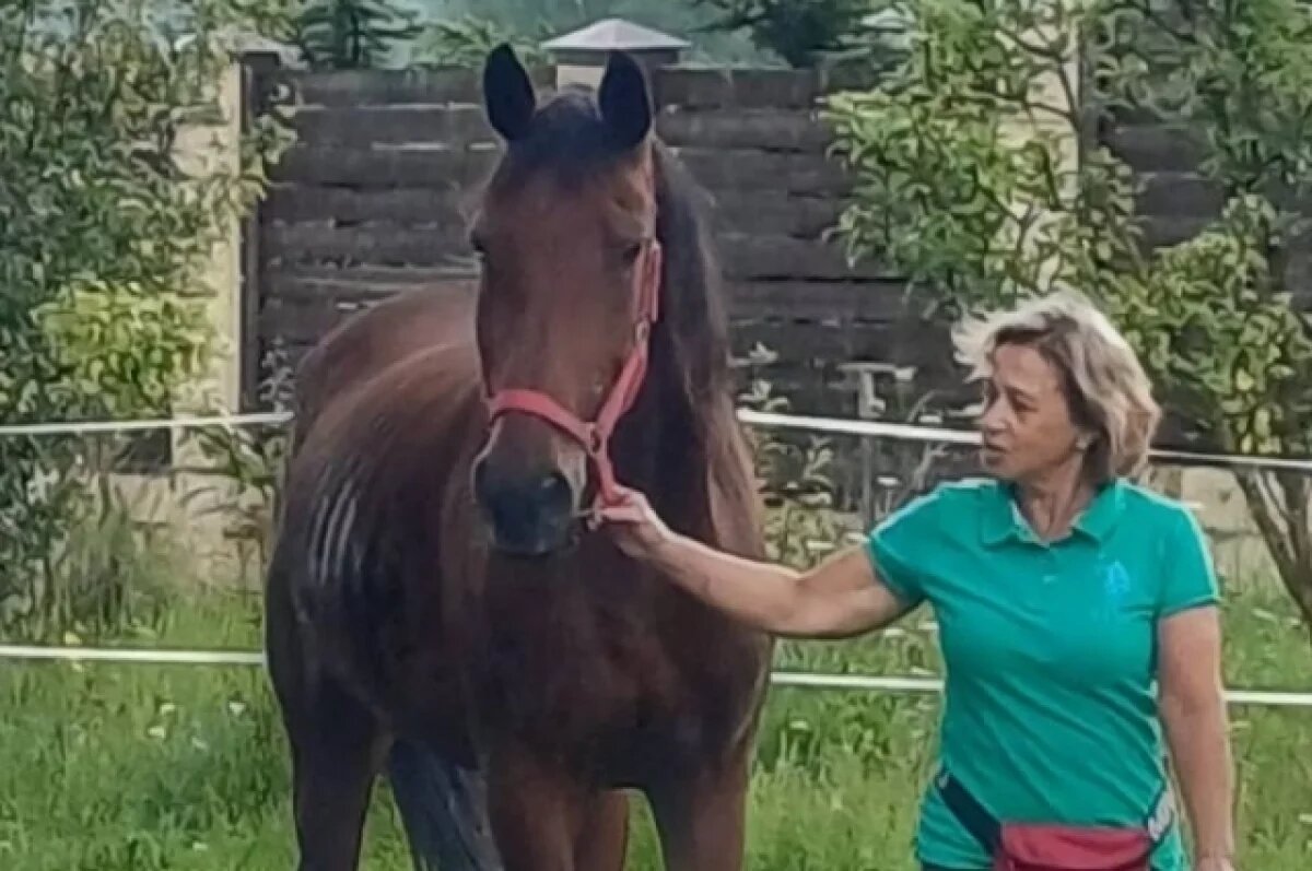    Тульские полицейские спасли лошадь на трассе