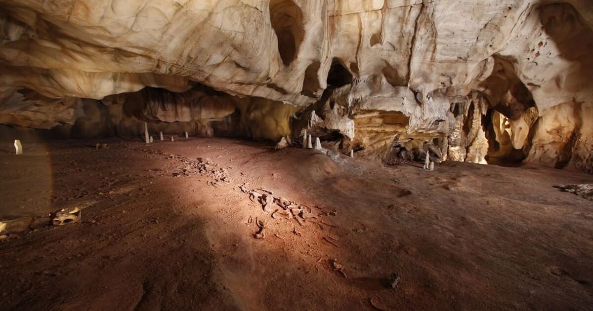 Пещера ШОВЕ.