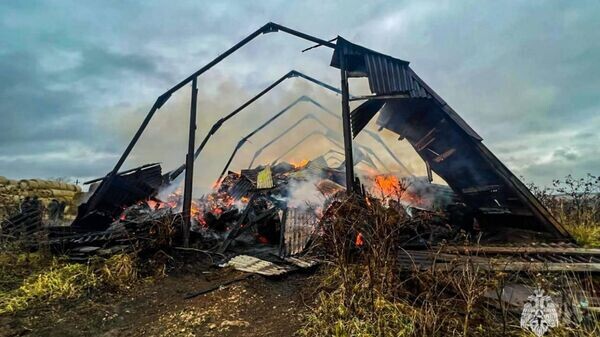    © Photo : Telegram / МЧС РФ