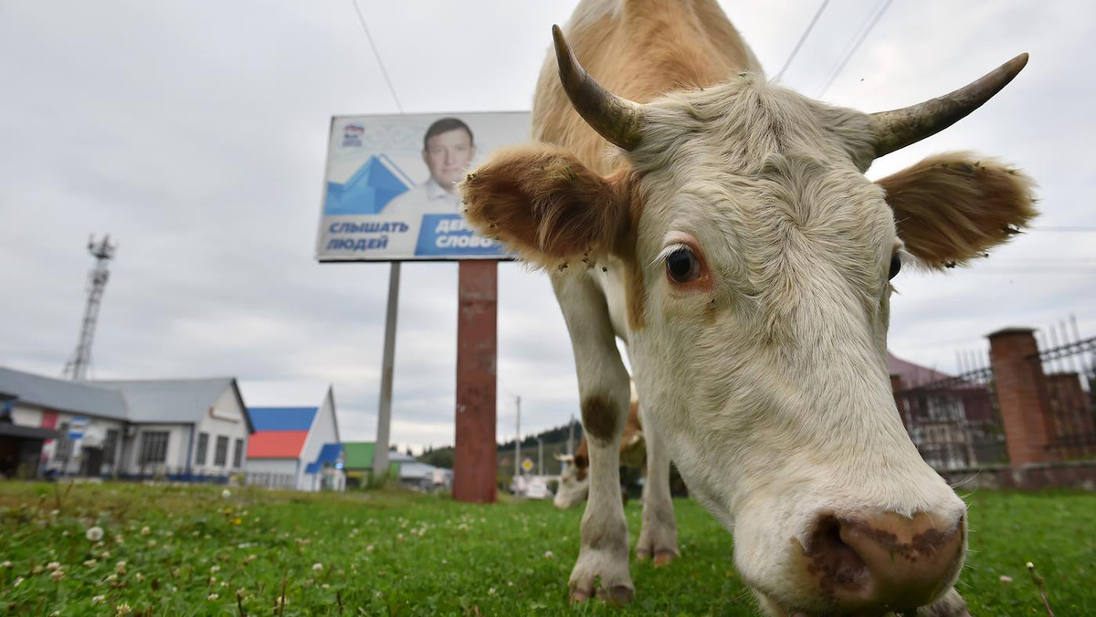   Влад Некрасов / Коммерсантъ