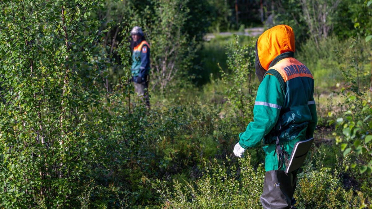    Фото: Федор Воронов / «Ямал-Медиа»