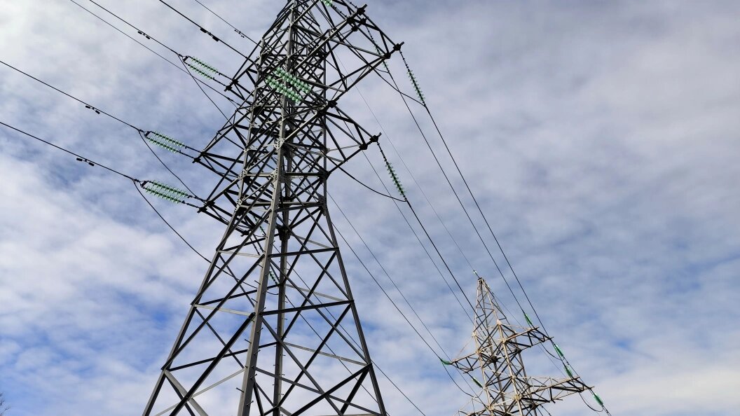    Фото: Maksim Konstantinov/Globallookpress