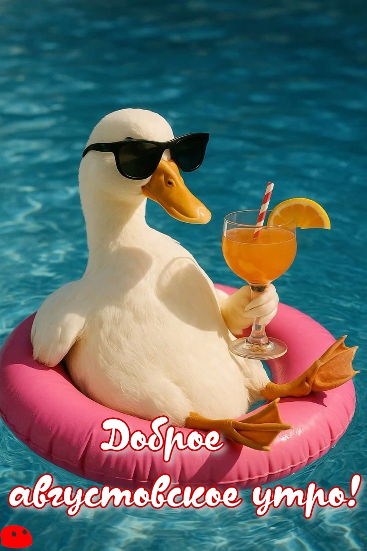 Доброе августовское утро