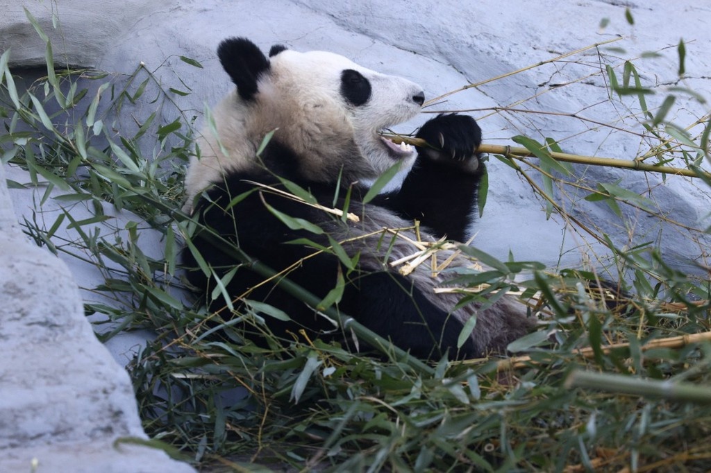    Фото © Анастасия Романова / Абзац