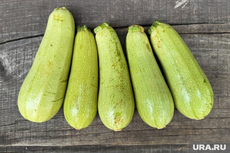 Список полезных способов избавиться от избытка кабачков