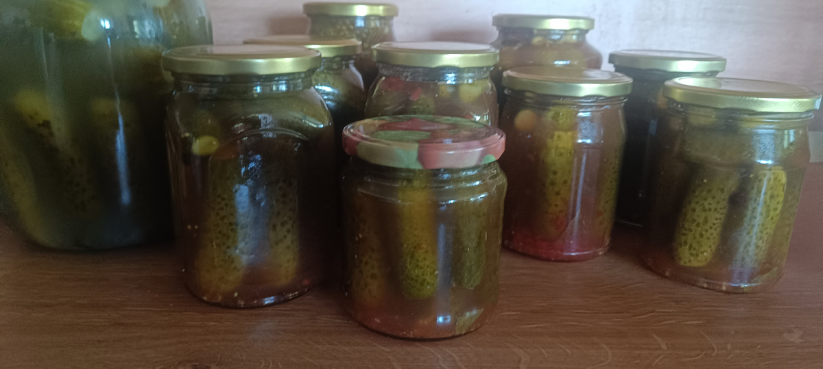 Мои заготовки)