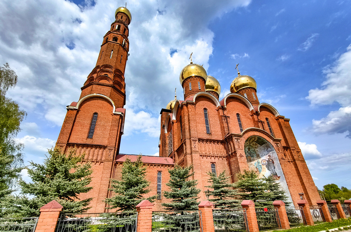    Светлана Парфенова