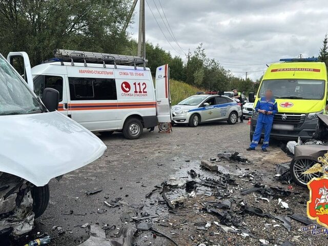    Фото: телеграм-канал "Подмосковная полиция"