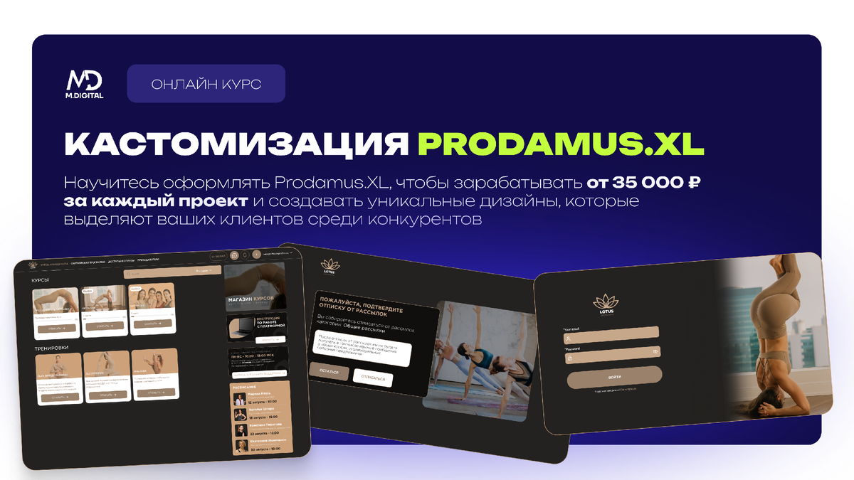 Кастомизация Prodamus.XL - онлайн-курс