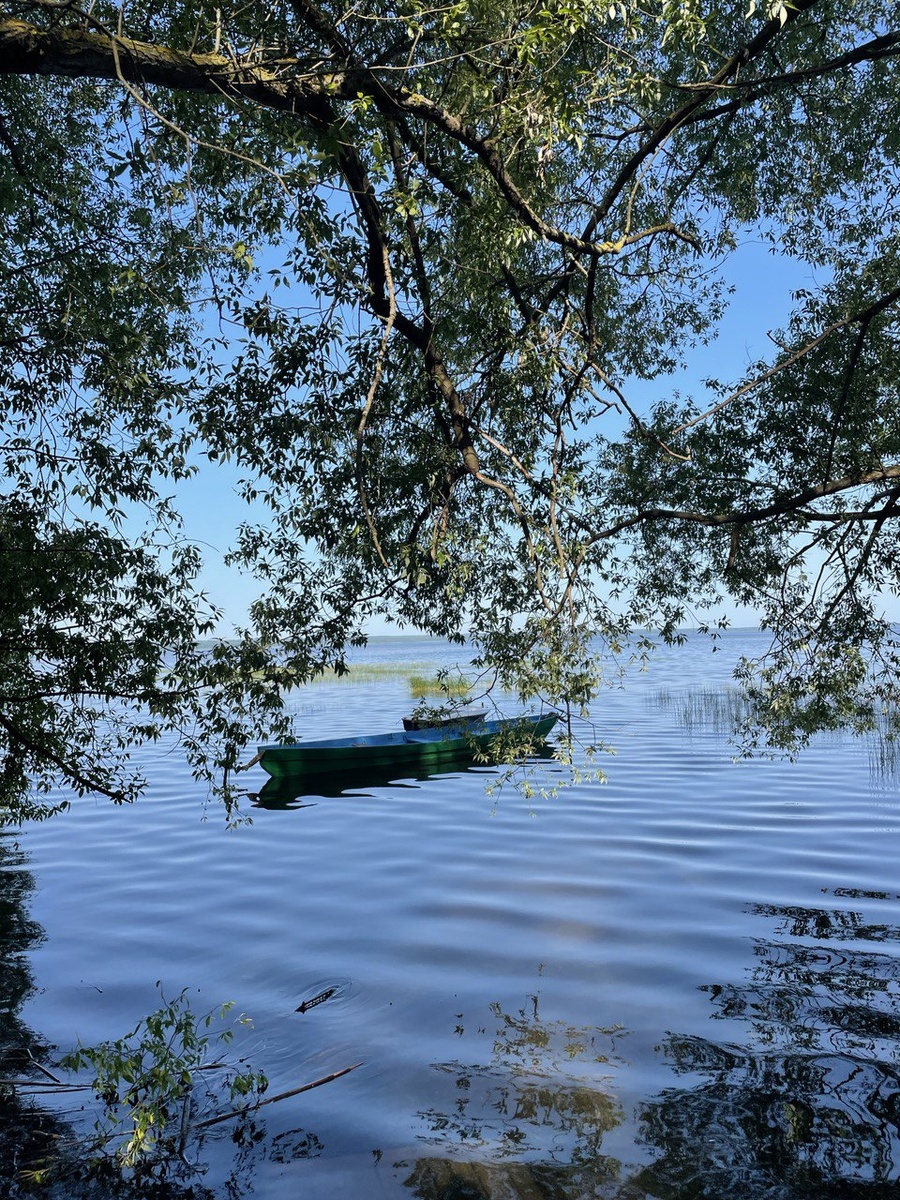 Утро на озере 