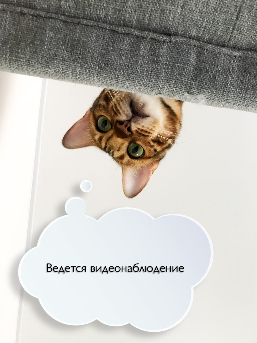 Кайра ведет наблюдение за играми своих котят бенгаликов даже во время отдыха