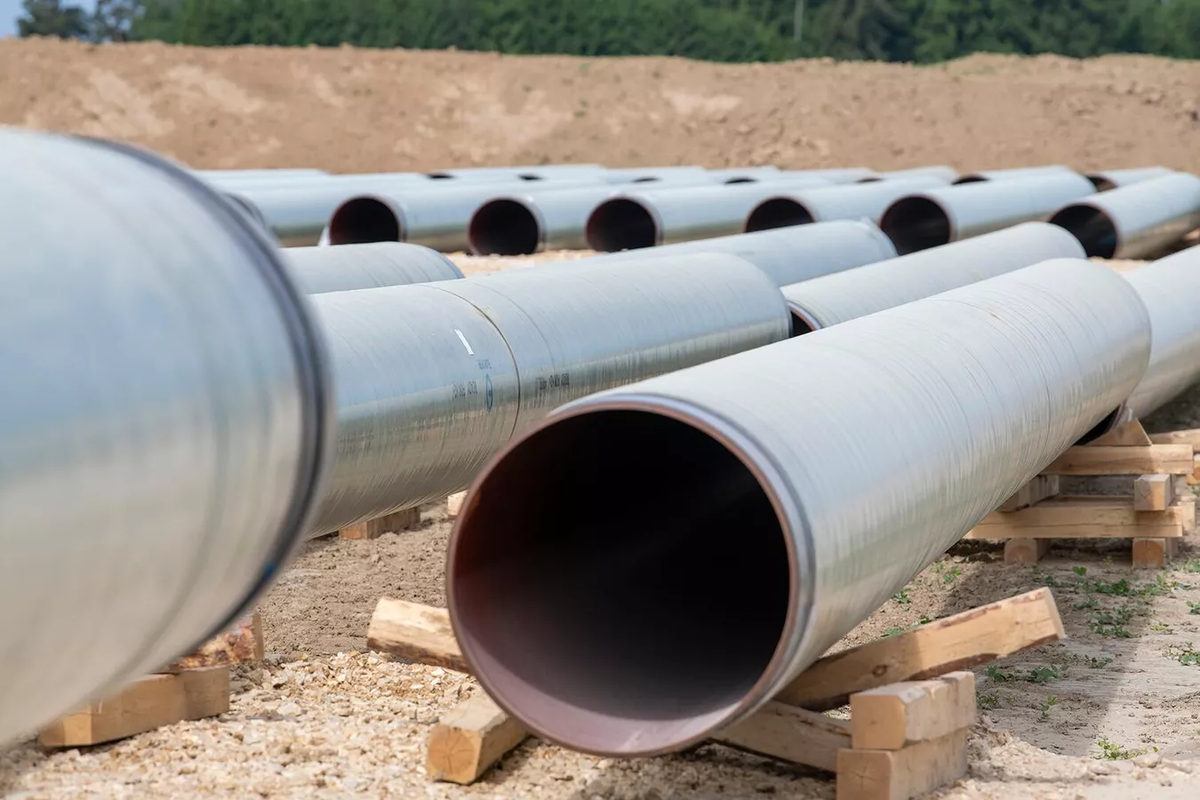 © Getty Images / Stefan Puchner/picture alliance via Getty Images