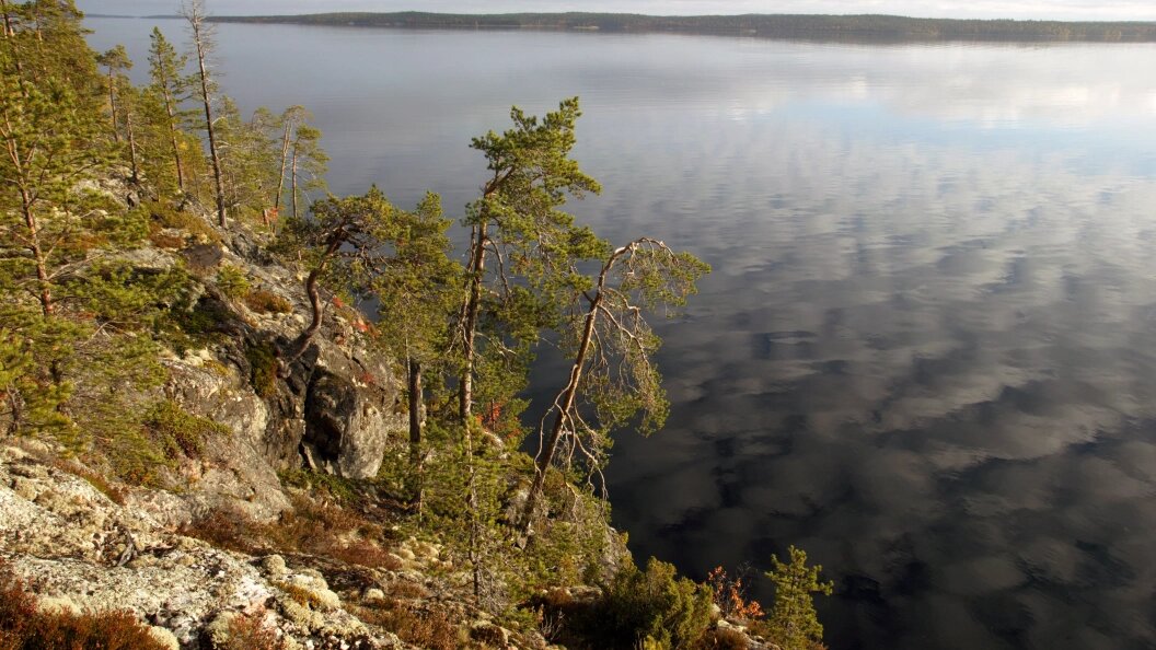    Andrei Kamenev/Russian Look/Globallookpress