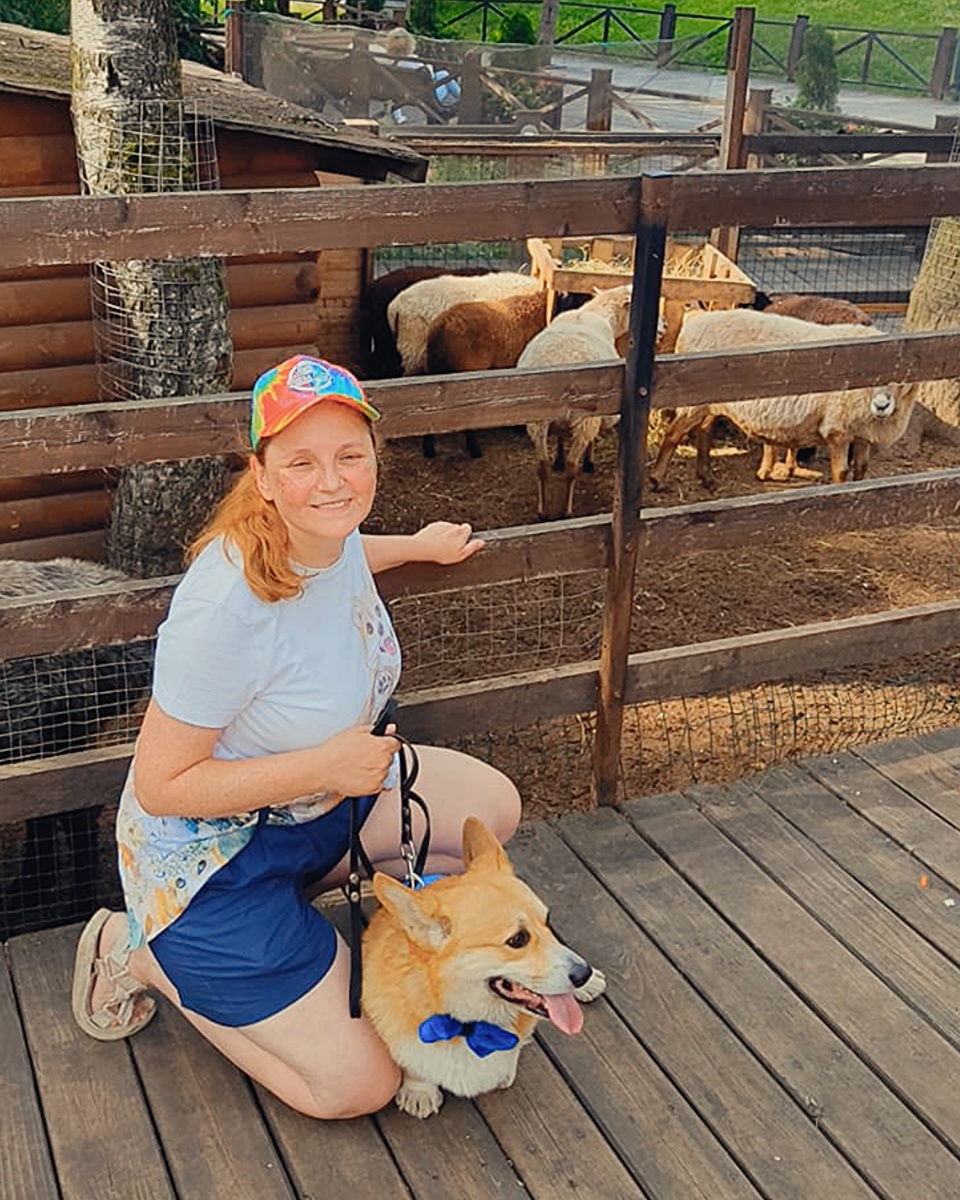 Корги Бильбо, Лена и овцы