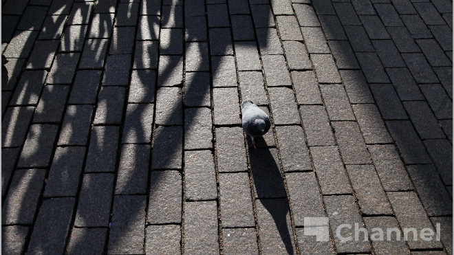 Фото: Анастасия Илюшина/47channel, архив