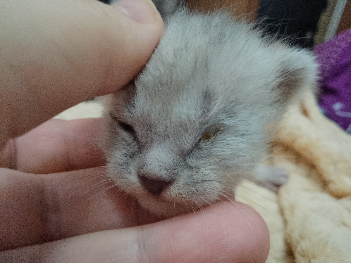 Пацан, самый мелкий из