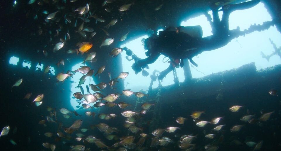    Yang Guanyu / www.globallookpress.com