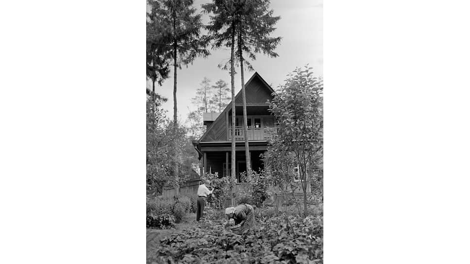 Стародачный поселок в Подмосковье.📷Фото: Михаил Озерский / РИА Новости