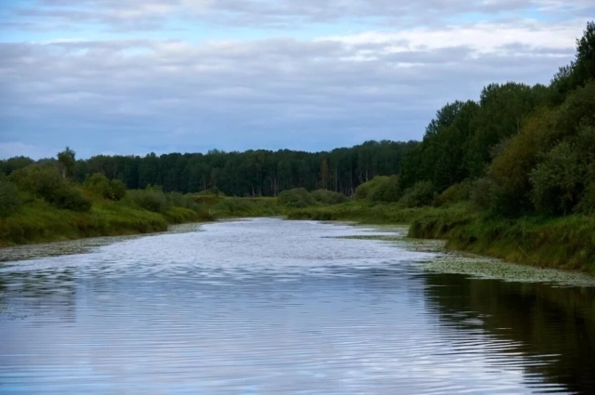    Священник Феодорит объяснил список запретов на Ильин день