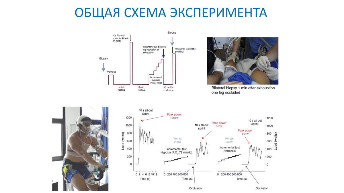 Рисунок 1. Общая схема эксперимента.