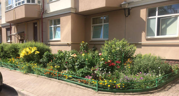 Всеволожск. Клумба у 3-го подъезда дома 6 по улице Центральной