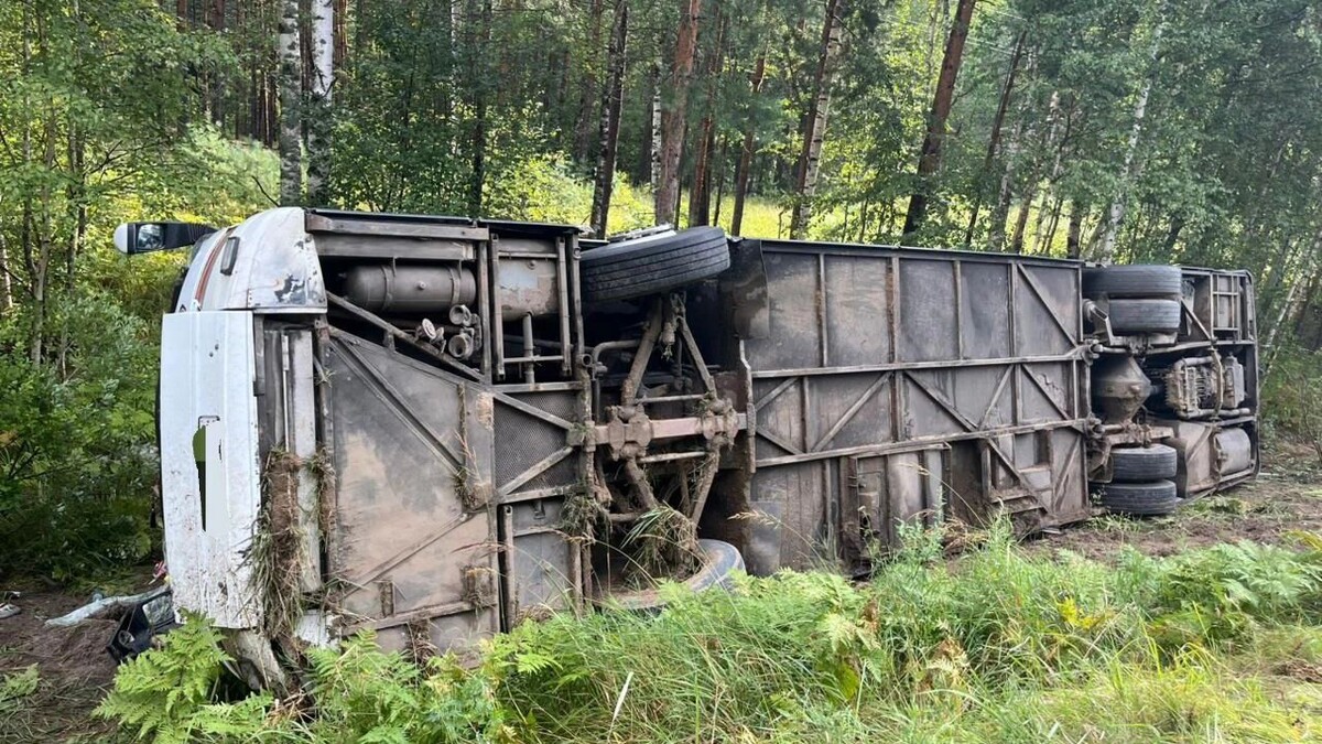    Фото: Прокуратура Мордовии/t.me