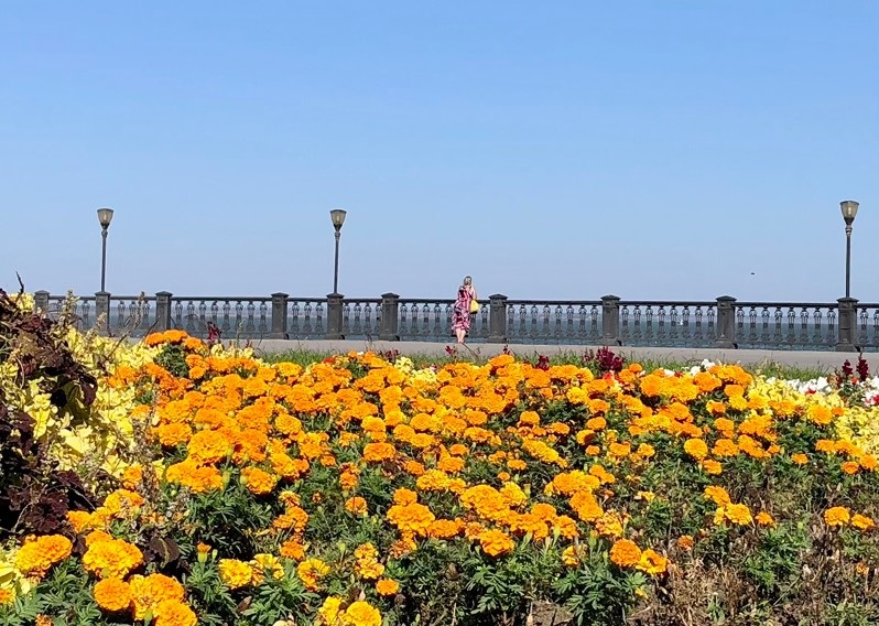 Фото 2023 года.  Елены Стоун