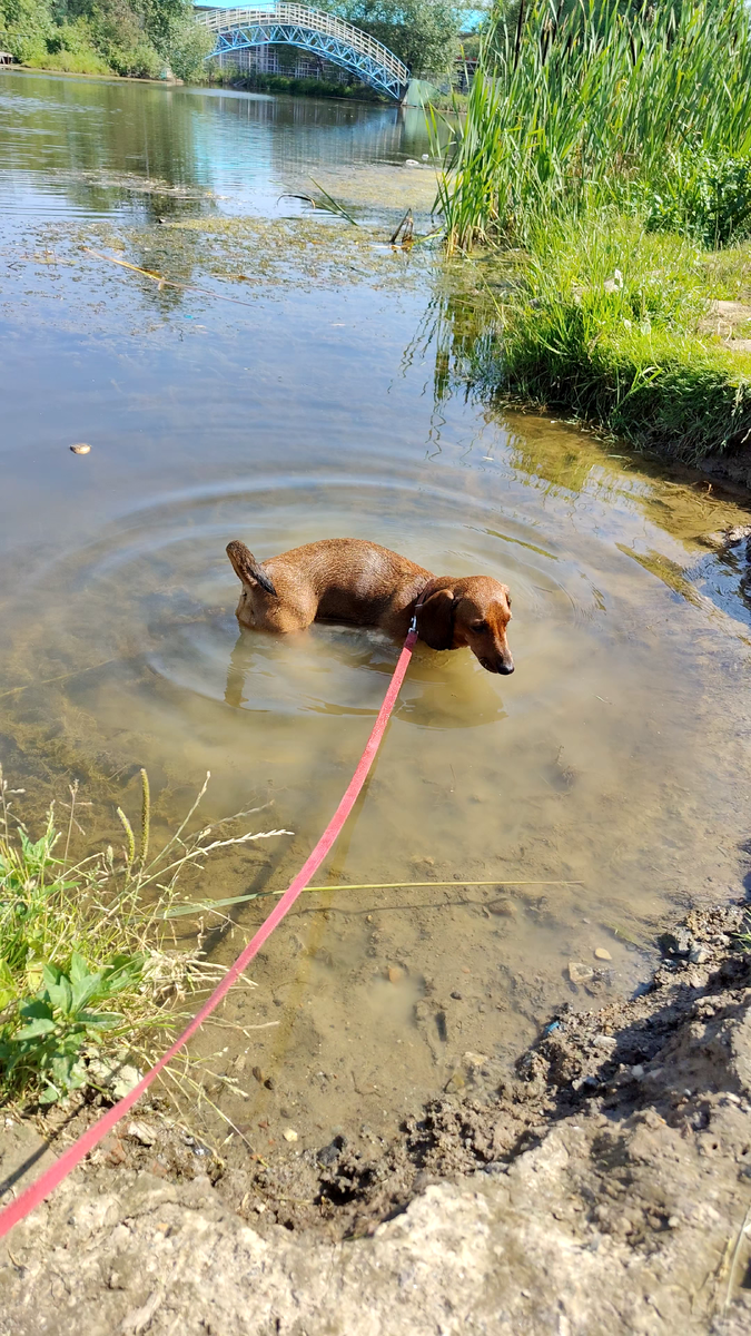 Гуляем у воды