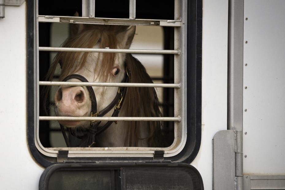    Ronen Tivony/Global Look Press