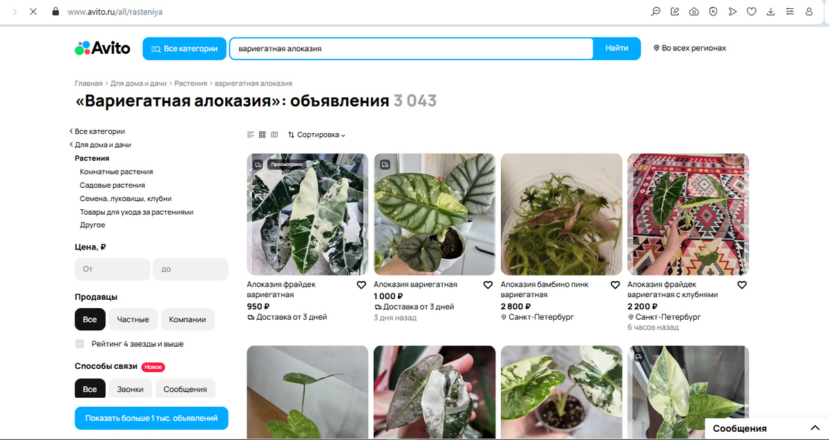 Скрин страницы авито с поиском растений
