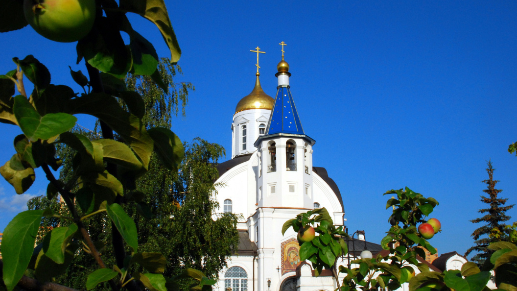    Фото: Alexander Legky/Global Look Press