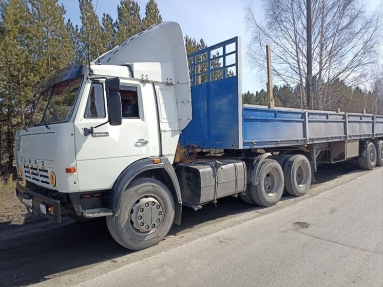    Фото пресс-службы УФССП по Томской области Ольга Шмырева