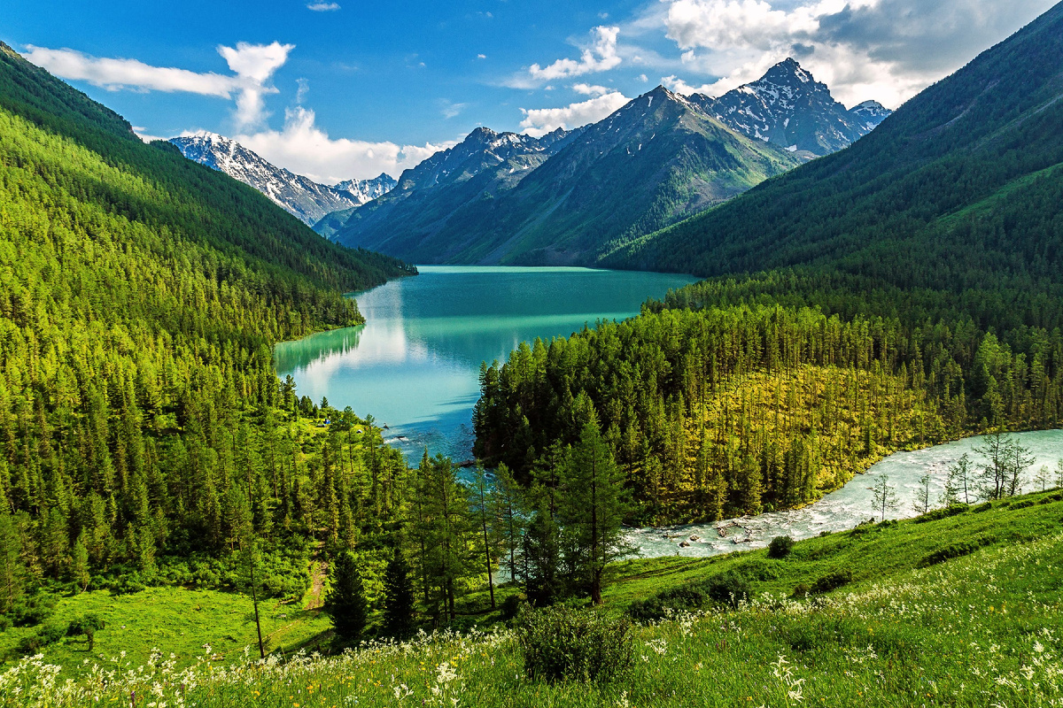 Источник: imerica.ru