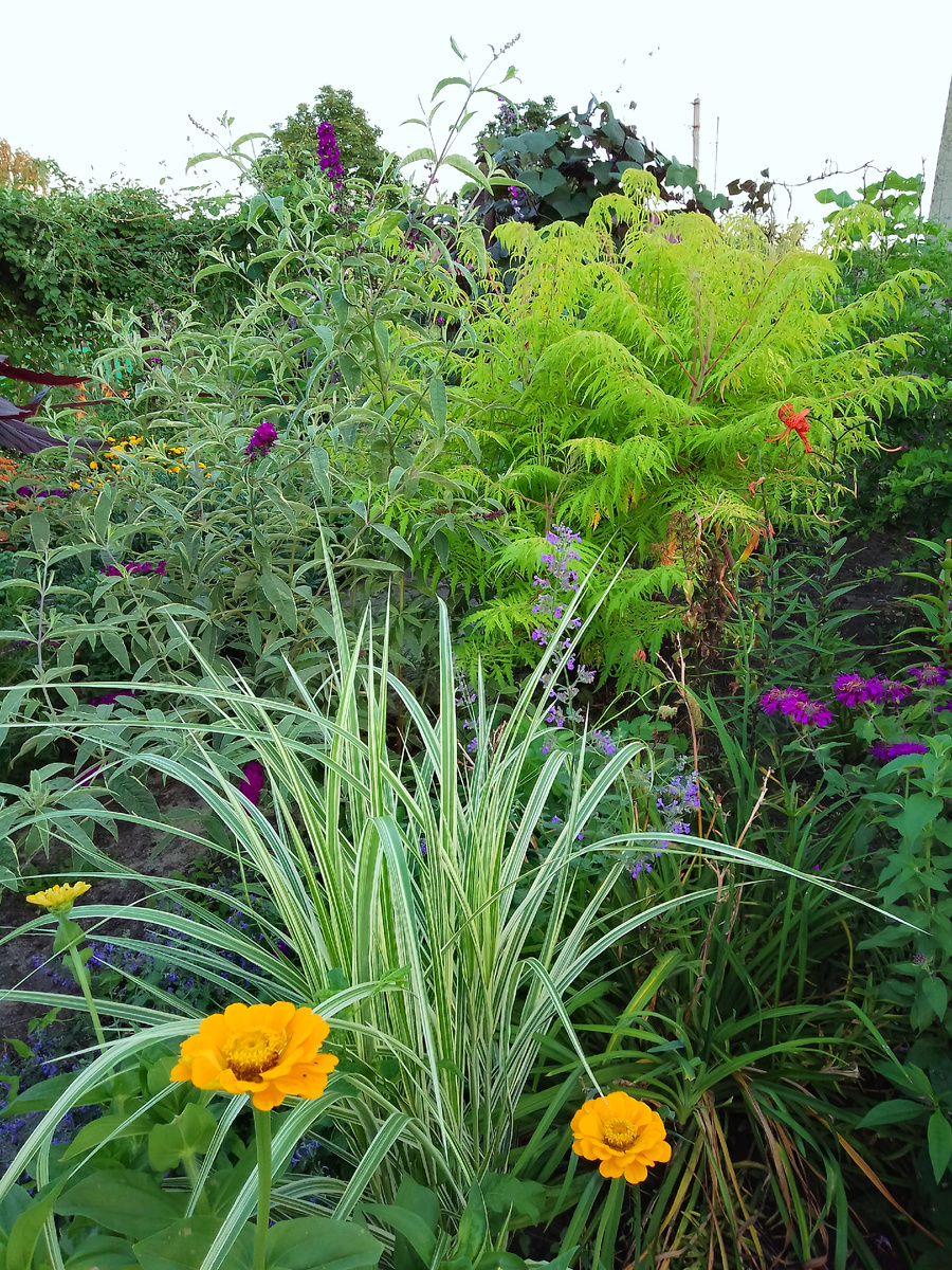 Новый уголок, в мамином саду