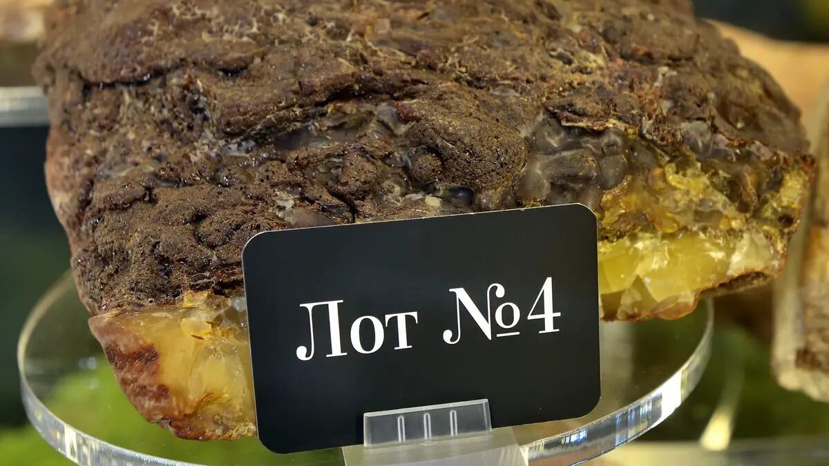    Фото: vm.ru Павел Евсеев