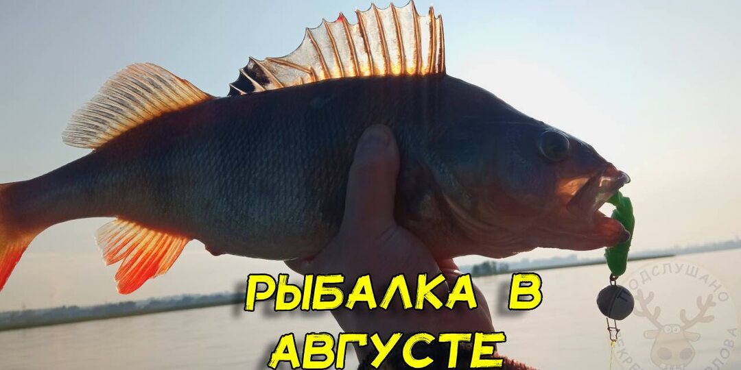 Рыбалка в августе. Причина, почему клюёт не та рыба, на которую ты рыбачишь. Красивые личные фото без кишок
