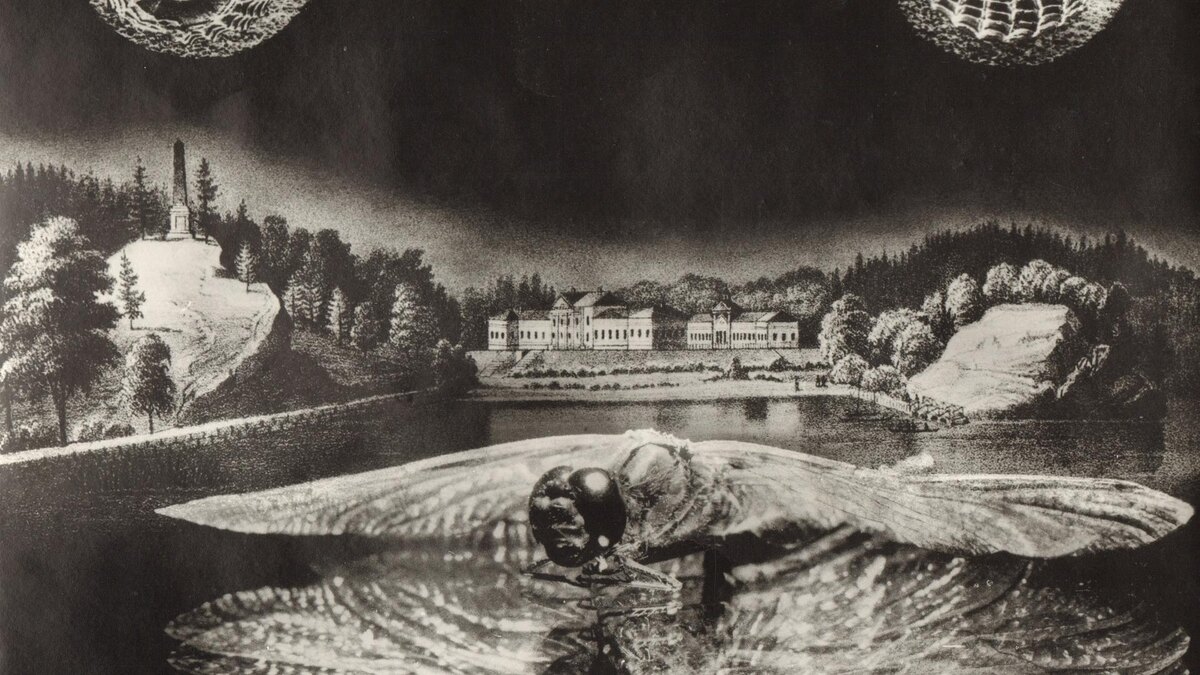    Фото: vk.com/monreposmuseum