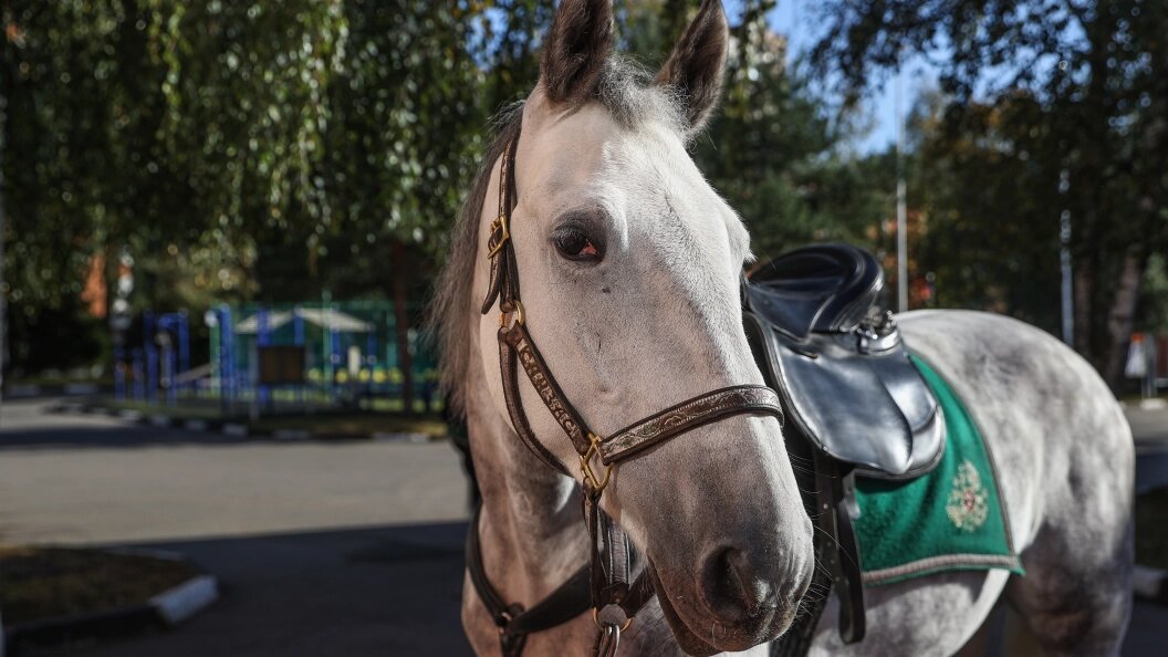    Фото: Bulkin Sergey/Globallookpress