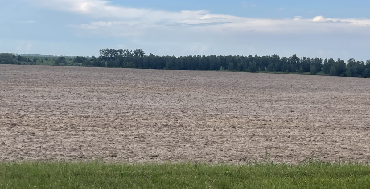 Сплошная глина