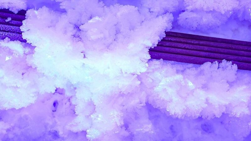    Фото: Андрей Ткачёв / «Ямал-Медиа»