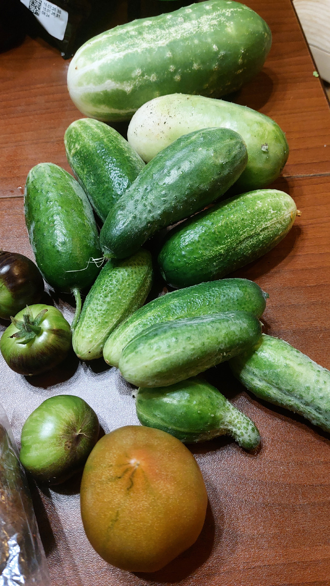 Ночная пятничная охота на огурцы).