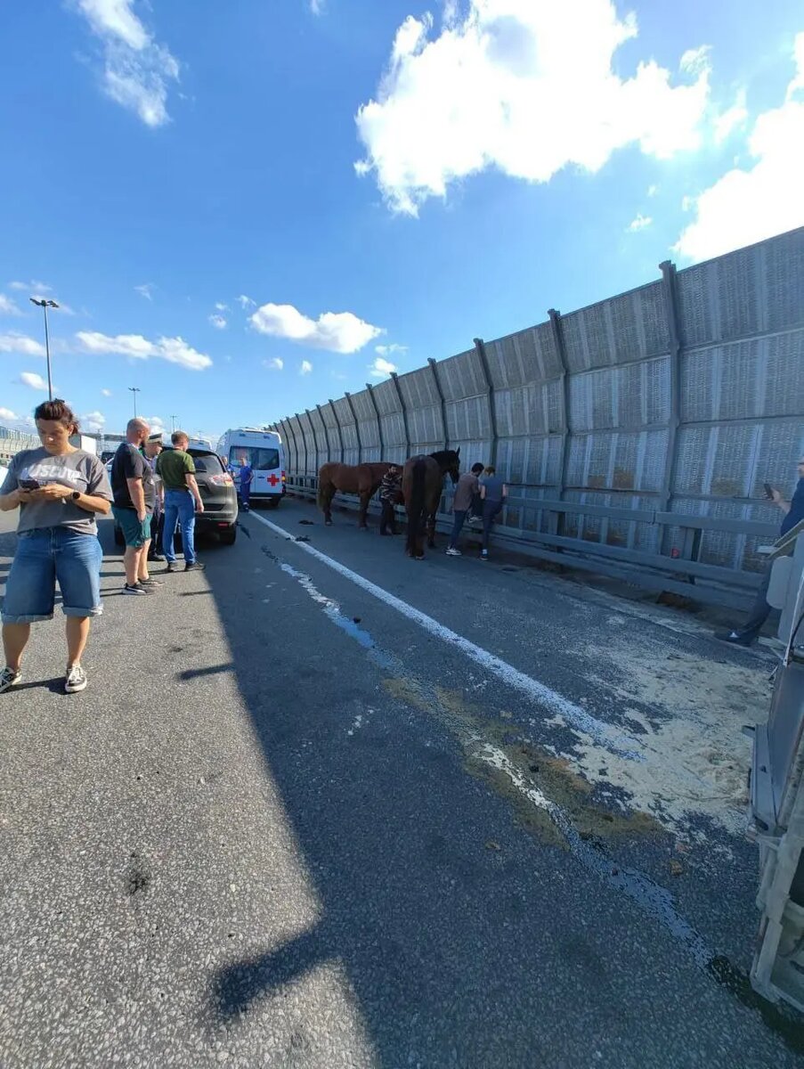    Фото: телеграм-канал Мегаполис | ДТП и ЧП | Санкт-Петербург | Питер / Телеграм